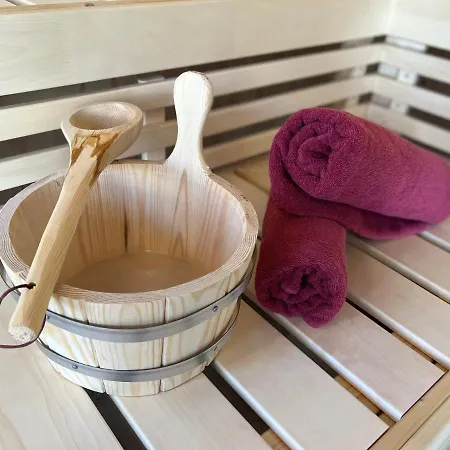 公寓 Spa-apartment Mit Sauna In Ulm-bofingen 乌尔姆