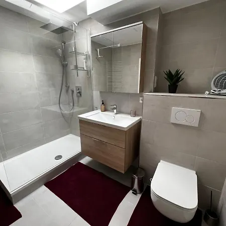 Spa-apartment Mit Sauna In Ulm-bofingen * 乌尔姆